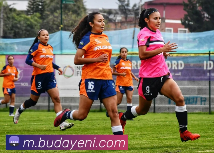 华体会押注APP 高清赛事图